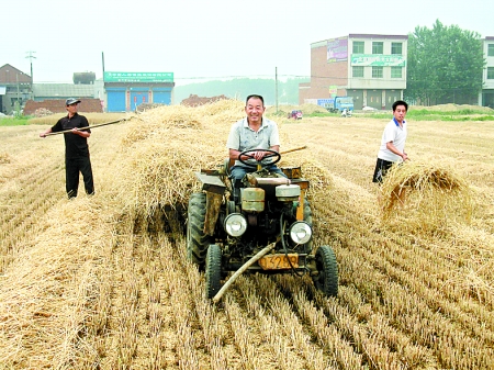 秸稈集中收購 成立秸稈清運隊