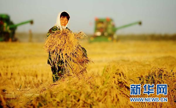 解讀中國第一產(chǎn)糧大省連創(chuàng)新高的“密碼”