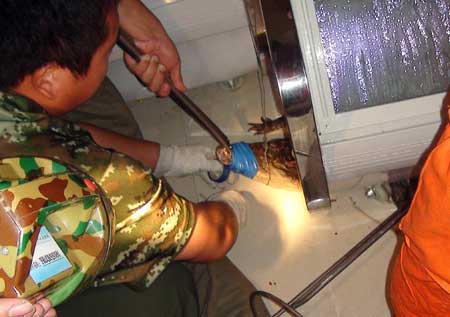 濮陽一兩米長鱷魚“逃”出飼養箱 幸沒有把人傷