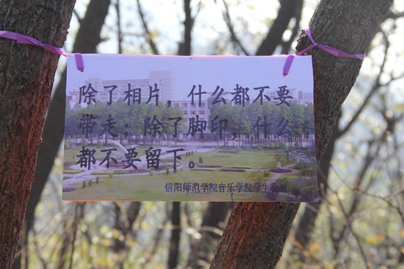 信陽師范學(xué)院音樂學(xué)院開展黨員環(huán)保社會實踐活動