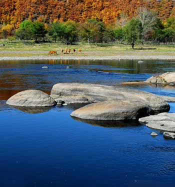 首屆中國(guó)•黑龍江鶴崗國(guó)際界江旅游節(jié)即將隆重開(kāi)幕