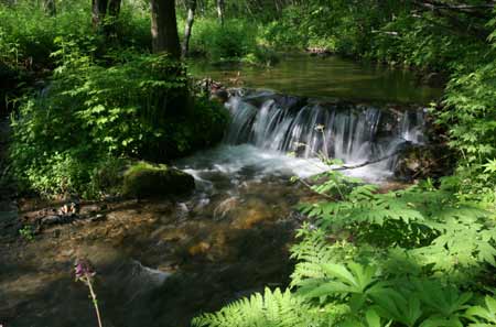 首屆中國(guó)•黑龍江鶴崗國(guó)際界江旅游節(jié)即將隆重開(kāi)幕