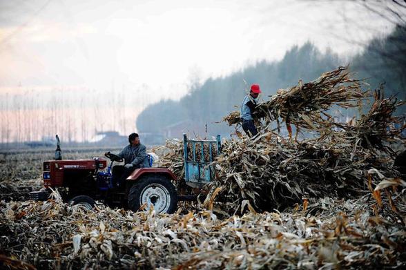 秋收近尾聲 整地備春耕