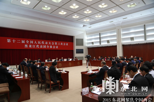 黑龍江省代表團舉行第四次全體會議