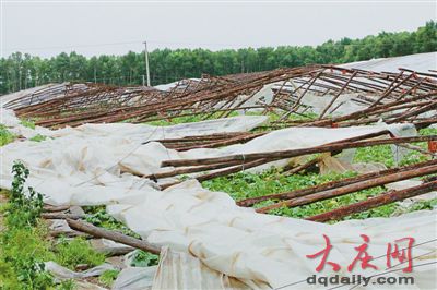黑龍江肇源遭大風襲擊風力超10級 損失超千萬元