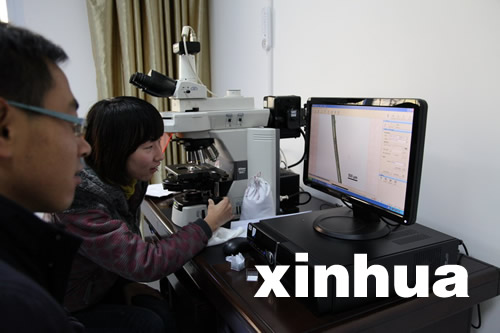 專家稱神農架野人不存在 野人紅毛皆是偽造