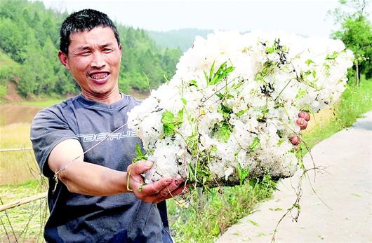鄖縣遭強風冰雹襲擊 冰雹大如雞蛋堆積厚度20厘米