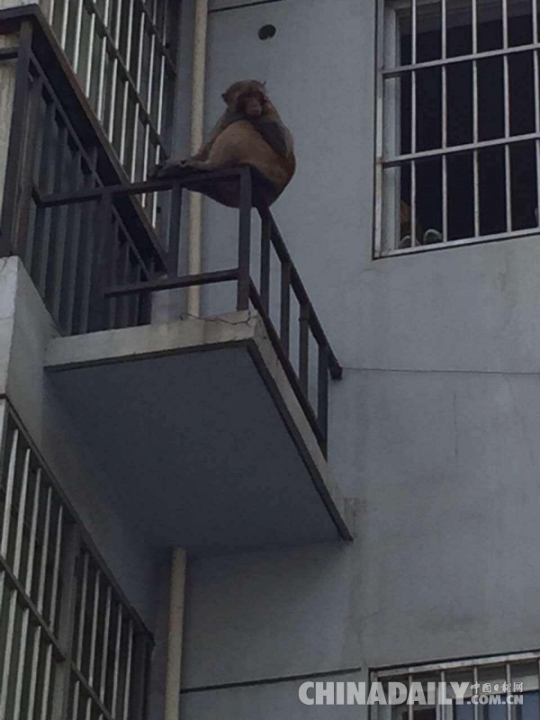 守衛(wèi)在城市每個角落 記派出所巡邏隊員的一天