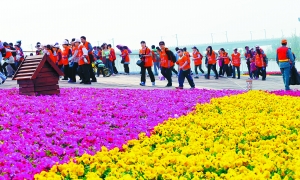 北京園博園揭開神秘面紗 試運營每日迎2萬游客