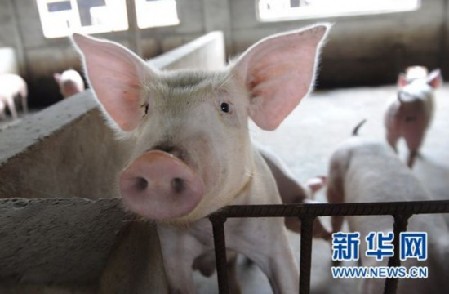 中國經濟30年頻遭