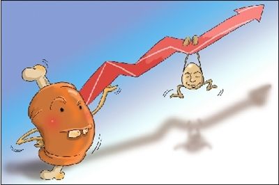 兩部委下調(diào)動物檢疫費以降肉價