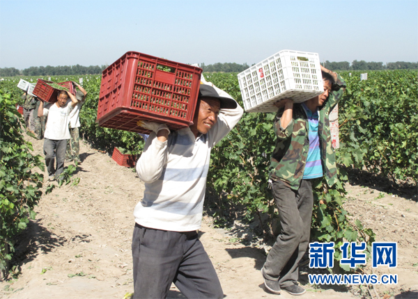 中國葡萄酒業巨頭上演“西行漫記”