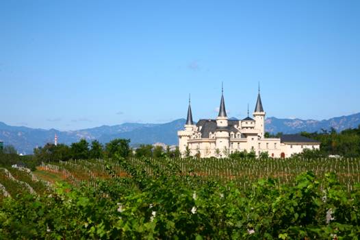 中國葡萄酒業(yè)巨頭上演“西行漫記”