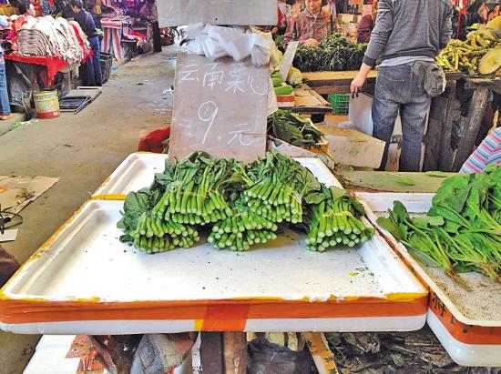 網(wǎng)友抱怨菜價上漲：小時吃不起肉 長大吃不起菜