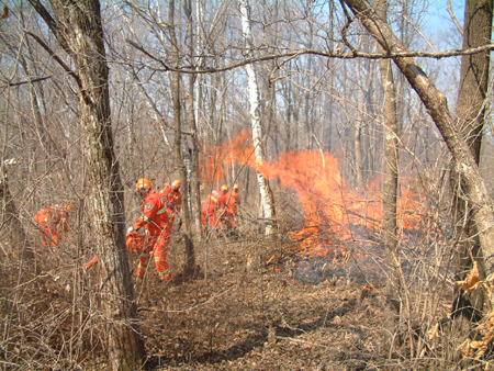 紅石林業(yè)局開展森林防火實戰(zhàn)練兵