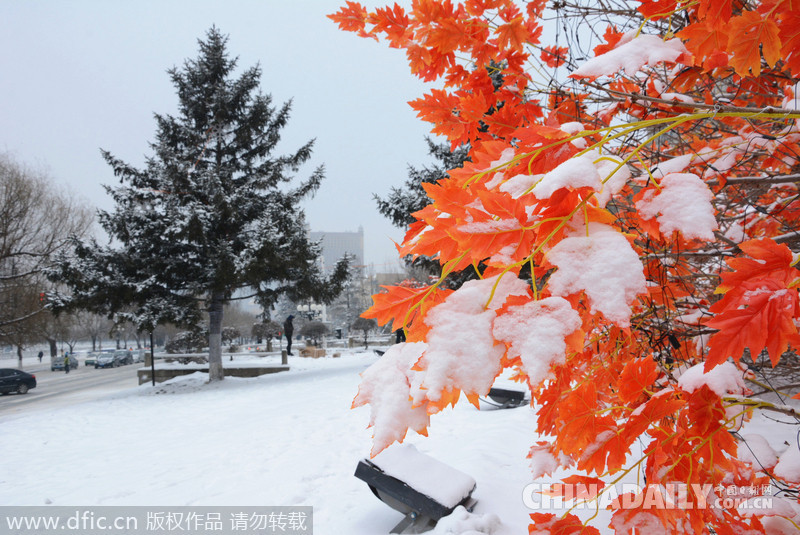 吉林迎來2015年首場大雪 氣象臺發(fā)布道路冰雪預(yù)警