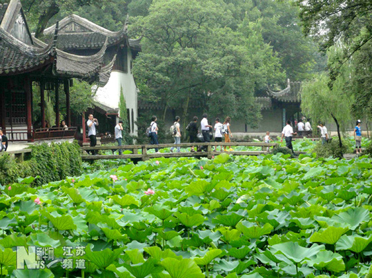 蘇州拙政園荷花旅游節開幕
