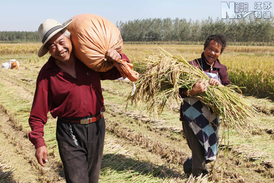 贛榆：金秋時節(jié)喜豐收