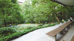 香港大學百年歷史里的美麗與動感(組圖)