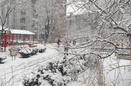 今年沈陽可能經(jīng)歷最晚的春季