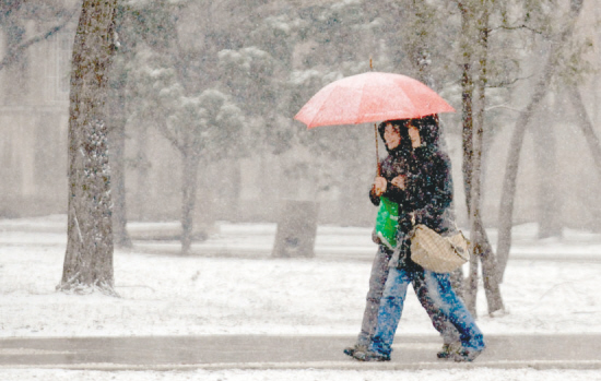 今年沈陽可能經(jīng)歷最晚的春季