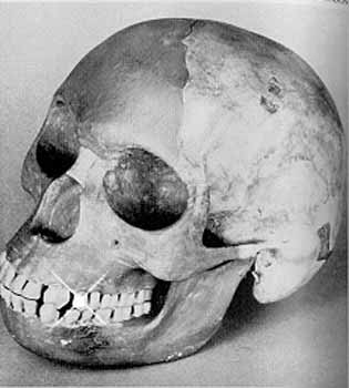 史上五個最著名科學騙局:遼寧古盜鳥上榜