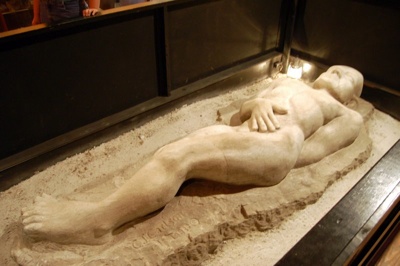 史上五個最著名科學騙局:遼寧古盜鳥上榜