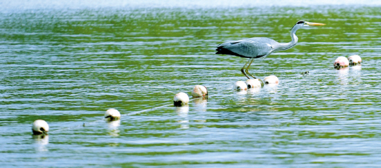 沈陽：鄉愁如故，幸福自來