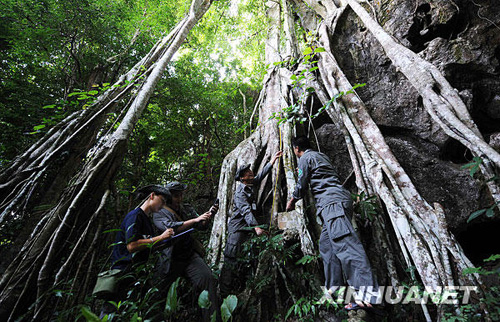 景洪：西雙版納“黎明之城”的美麗容顏