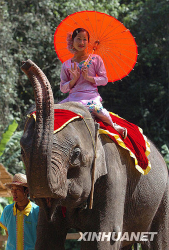 景洪：西雙版納“黎明之城”的美麗容顏