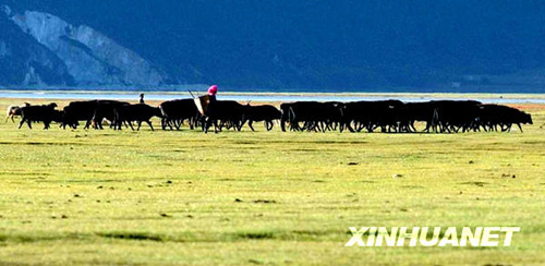 香格里拉：茶馬古道上的古集鎮 游人心中的世外桃源