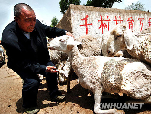 1991年：扶貧攻堅