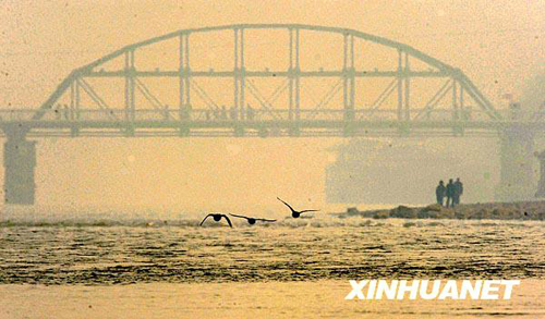 百年黃河鐵橋見證蘭州變遷