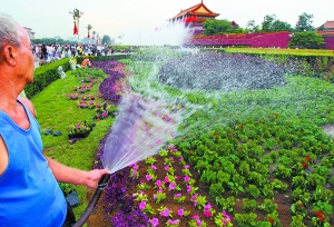 “盛世牡丹”國慶綻放天安門廣場