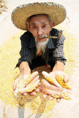 中國農(nóng)業(yè)融入世界大舞臺 已成為第四大進(jìn)口國