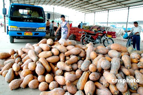 我發(fā)布首個農產品出口五年規(guī)劃 2010年達380億