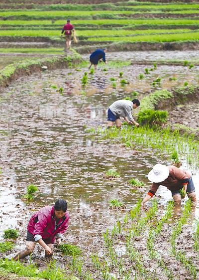 雅安受災群眾全部得到安置