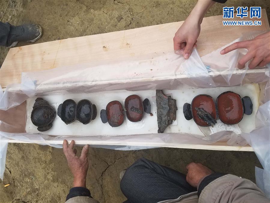 成都發(fā)現(xiàn)春秋戰(zhàn)國大型船棺墓群 如地下青銅器寶庫