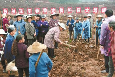 探訪先行者 四川16個(gè)計(jì)劃摘帽縣取真經(jīng)