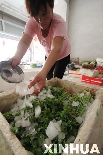 山東郯城：“三伏天”蔬菜“冰”著賣