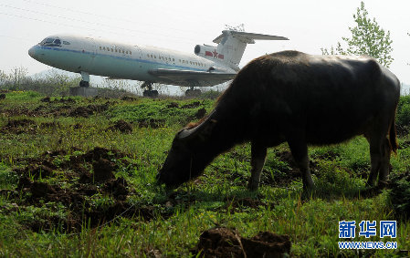 周總理座機停放安徽合肥荒野兩年多