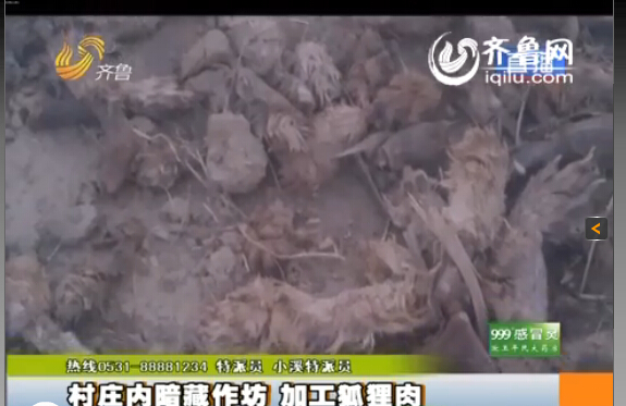 臨沂：村莊內(nèi)暗藏小作坊 日加工死狐貍?cè)馍习賴?/></p>

<p><strong>臨沂</strong>齊魯網(wǎng)<strong>11月13日訊</strong>同樣的一袋肉，在這家超市是羊肉，到了另一家超市變成了驢肉，再換一家超市又成了狗肉，然而這是一袋最不應(yīng)該出現(xiàn)在消費(fèi)者餐桌上的肉，為了消費(fèi)者的食品安全，記者冒著風(fēng)險(xiǎn)連續(xù)三天的暗訪，究竟是什么肉呢？</p>

<p>據(jù)山東廣播電視臺(tái)齊魯頻道《小溪辦事》欄目報(bào)道，這是臨沂河?xùn)|區(qū)鳳凰嶺街道的潘家湖村，一進(jìn)村記者就聞到了引人做嘔的腥臭味，爆料人稱(chēng)這是村里人加工肉的味道，而且全村每家每戶都參與加工肉的工作，這也成為全村人的主要經(jīng)濟(jì)來(lái)源。“這是暴利，一天掙大（近）萬(wàn)多塊錢(qián)，這不暴利嗎？這味太大了，我在里面聞不了。”</p>

<p>記者在看到村里的街道上到處都是動(dòng)的肝臟和爪子，街道上每隔十幾米就有一個(gè)加工肉的作坊，報(bào)料人稱(chēng)加工肉的作坊沒(méi)有任何手續(xù)，而他們加工的究竟是什么肉呢？</p>

<p>爆料人拿著起一袋肉稱(chēng)：“這就是他們當(dāng)狗肉賣(mài)的狐貍凍！肉凍是用水和膠勾兌的，再把肉摻在一起。”這包裝的“農(nóng)家風(fēng)味”，竟然是狐貍?cè)狻Ｓ浾卟榭赐獍b，沒(méi)任何的生產(chǎn)廠家、生產(chǎn)日期和保質(zhì)期，更沒(méi)有任何國(guó)家食用標(biāo)準(zhǔn)的三無(wú)產(chǎn)品，而爆料人稱(chēng)這些三無(wú)產(chǎn)品非常暢銷(xiāo)，“山東德州、內(nèi)蒙古、南方一帶江蘇銷(xiāo)量比較大”。</p>

<p>記者從爆料人那里了解到，這狐貍?cè)猱a(chǎn)品可不止狐貍凍這一種，而是五花八門(mén)什么肉都有，利潤(rùn)非常可觀。“油什么的、肝什么的都賣(mài)了，沒(méi)有扔的，還有狐貍骨頭架子，這些東西都賣(mài)了，沒(méi)有剩下的東西，當(dāng)成狗肉、牛肉、羊肉這些肉賣(mài)了，以次充好！”爆料人還稱(chēng)：“他們的利潤(rùn)空間非常大，一個(gè)冬天大約能賺好十幾萬(wàn)。”</p>
</p>
</div>
</div>

<div   class=