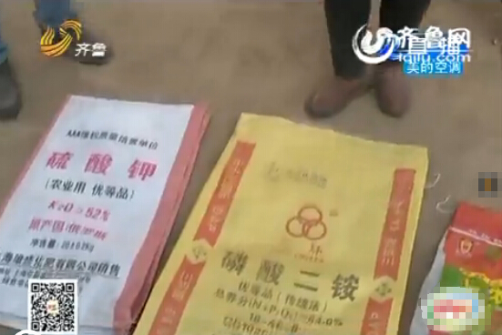 聊城：農(nóng)戶(hù)家15畝麥苗全部死亡 原因仍在調(diào)查當(dāng)中