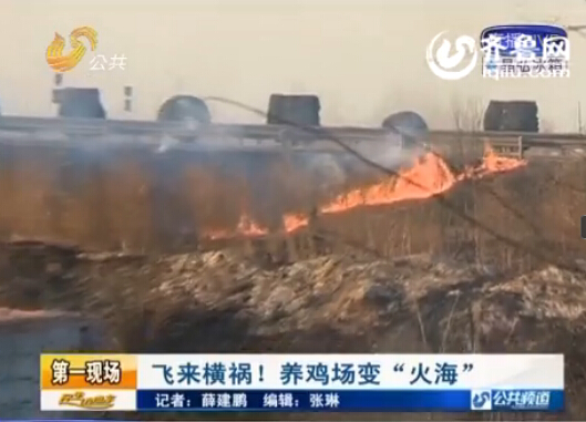 聊城高速路邊一養(yǎng)雞場(chǎng)被燒 大火從路北吹至路南