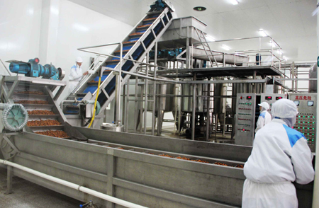 山東德州：打造“黃三角”現代產業體系新高地