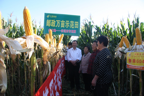 山東郵政：發(fā)揮郵政網(wǎng)絡(luò)優(yōu)勢，建立“三農(nóng)”服務(wù)體系