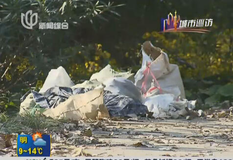 蓮花路地鐵站外綠地成垃圾堆和公廁 環境死角待整改