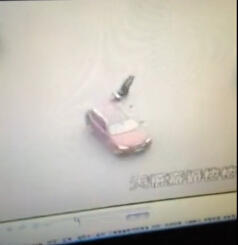 滬被拖行民警昨不治身亡 妻子下月即是預產期|圖