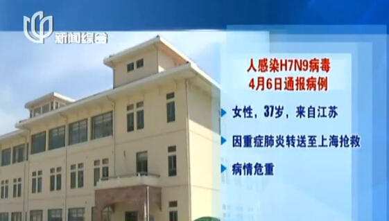上海再現感染H7N9病毒病例 發病率與活禽交易有關