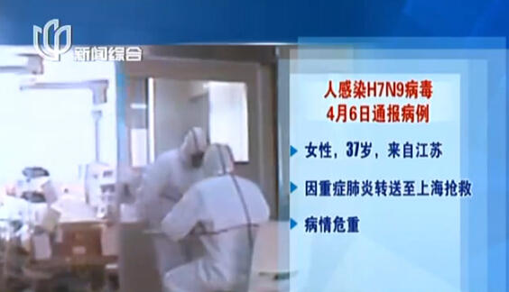 上海再現感染H7N9病毒病例 發病率與活禽交易有關